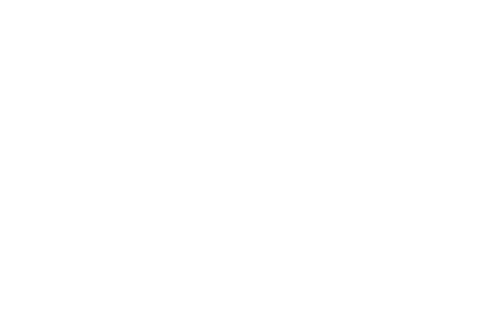 tidal icon