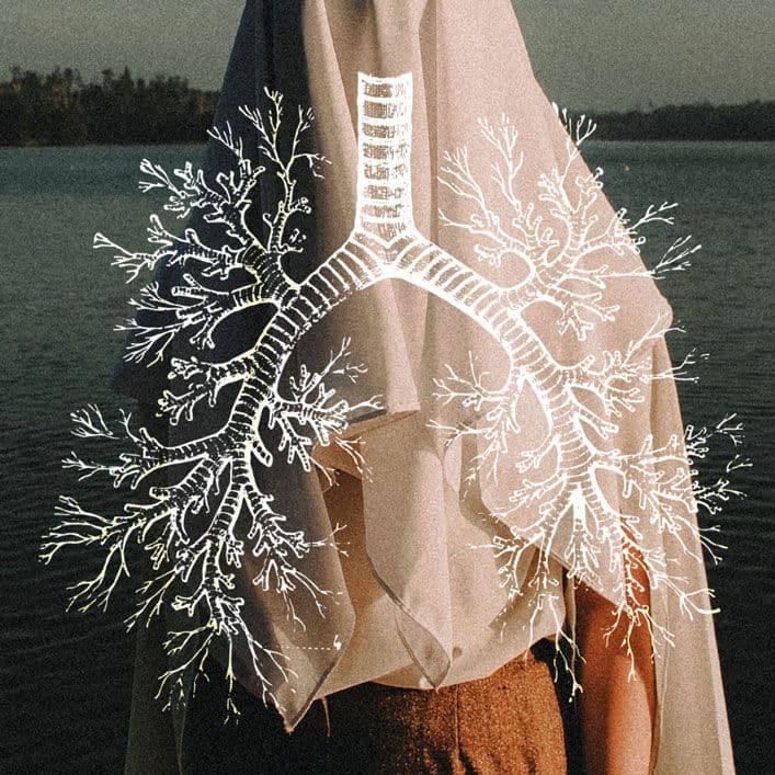 Person with a sheet over their head and the roots of a tree sketched on top