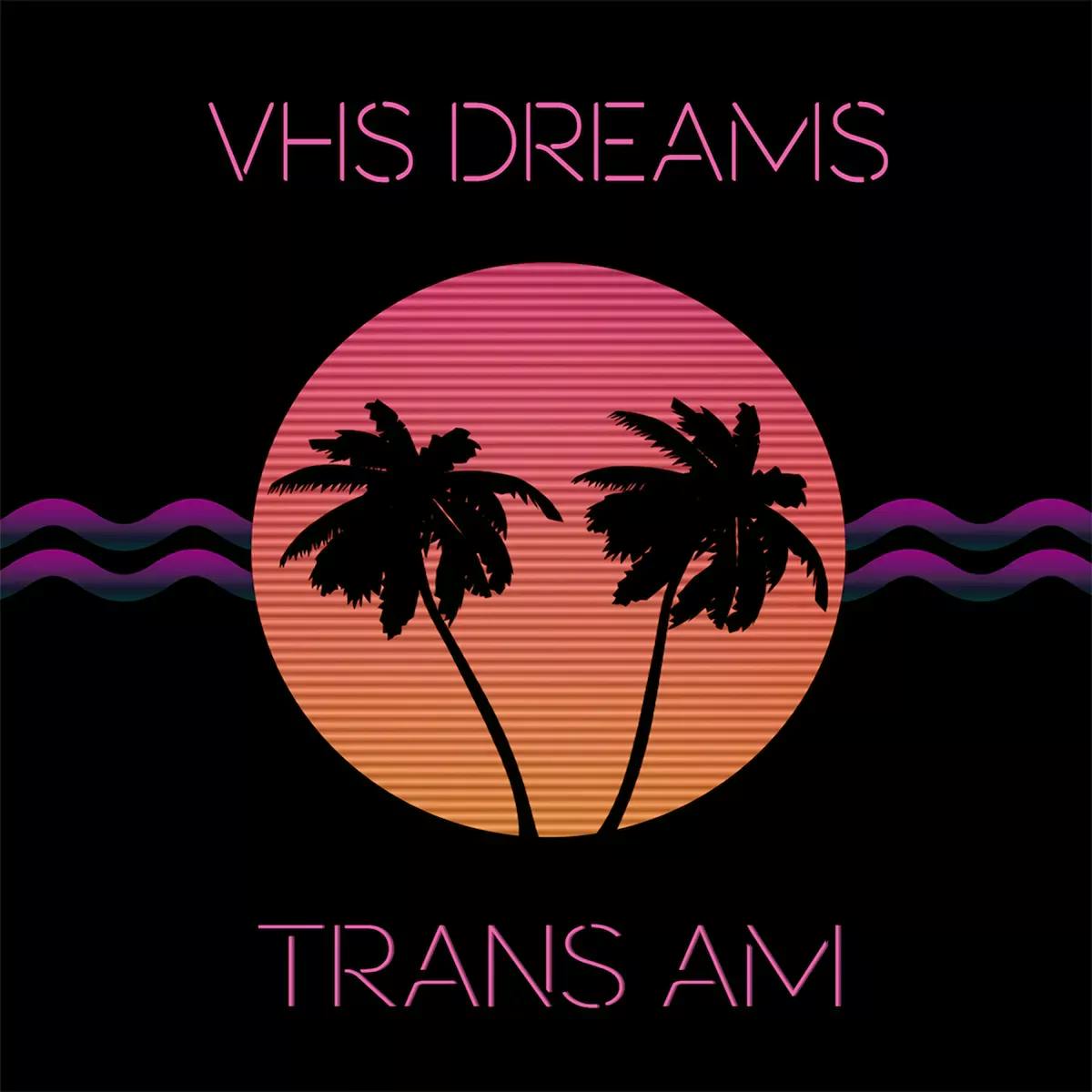 Tropical background with text "VHS Dreams Trans AM"