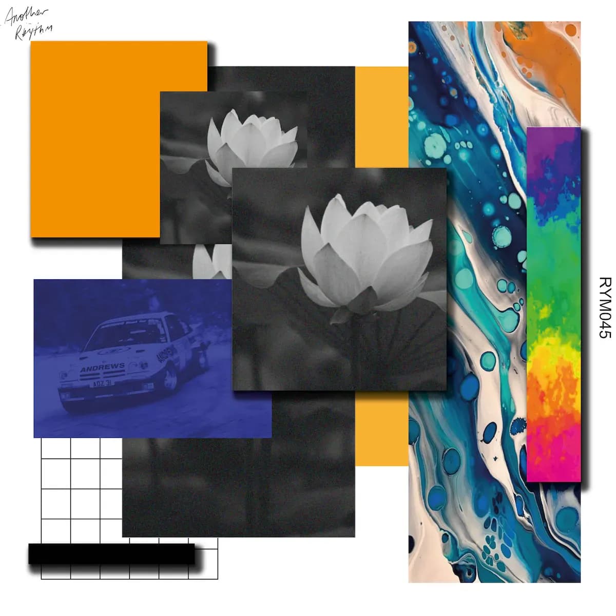 Collage of flowers, cars, and art
