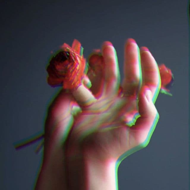 Two hands cupped and a rose on one of the hands pinky finger